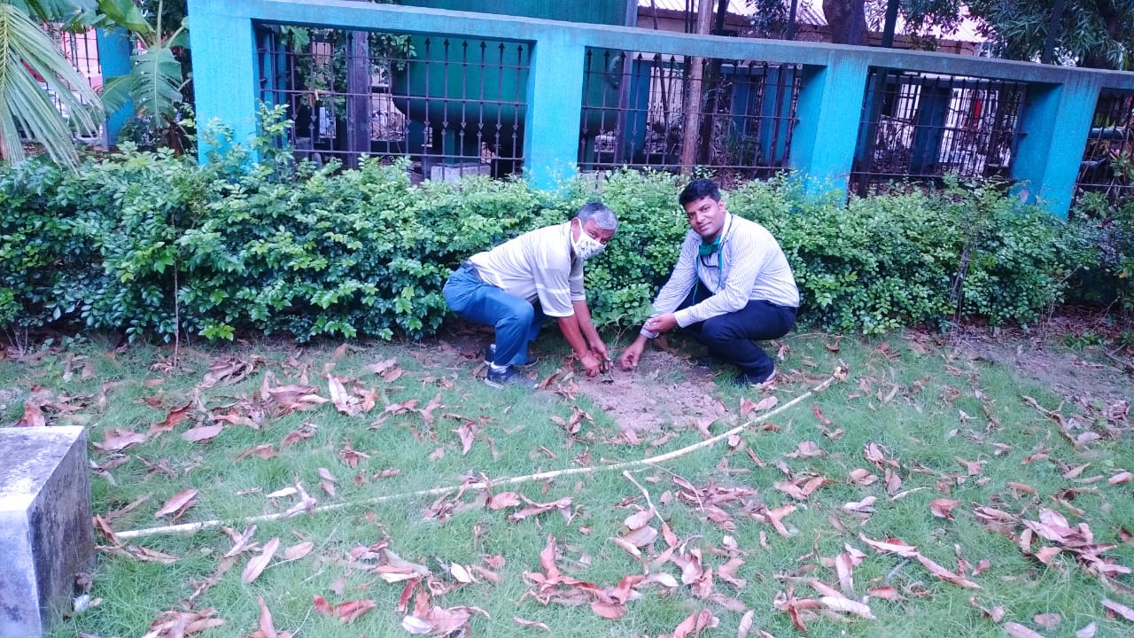 plantation-world-environment-day-1